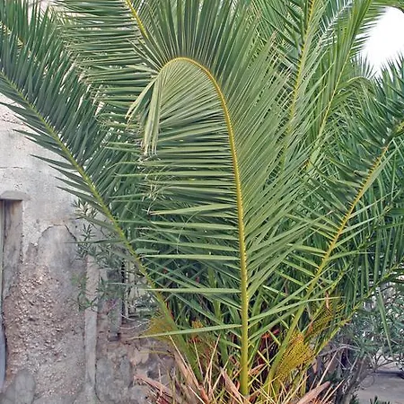 Primasrima 아파트