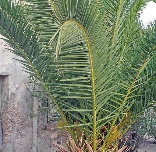 Primasrima Appartamento