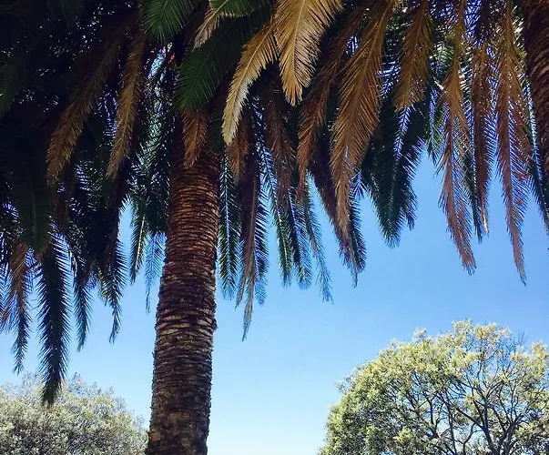 Apartament Primasrima